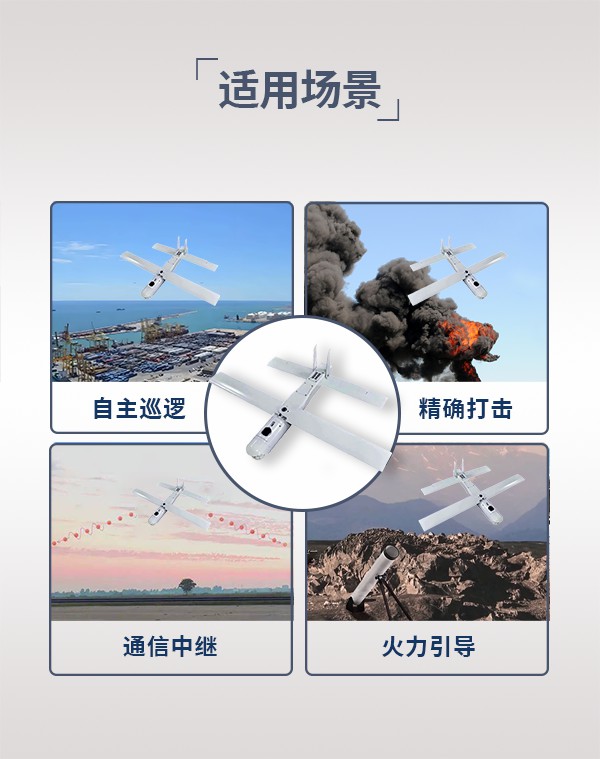 巡飛無人機xf03型(圖3)