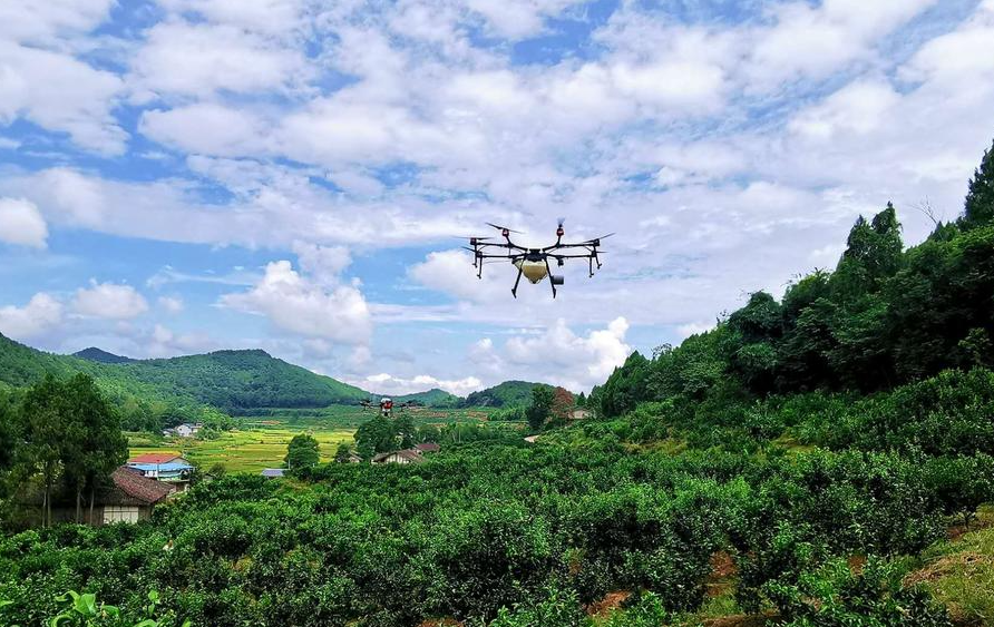 改裝無人機(jī)解決果樹農(nóng)藥低效問題 四川果農(nóng)轉(zhuǎn)型成“飛手”(圖1) 改裝無人機(jī)解決果樹農(nóng)藥低效問題 四川果農(nóng)轉(zhuǎn)型成“飛手”(圖1)